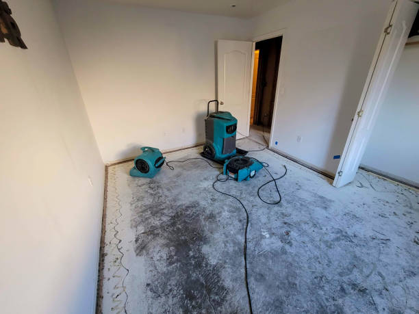 Best Flood damage cleanup  in Humboldt Hill, CA
