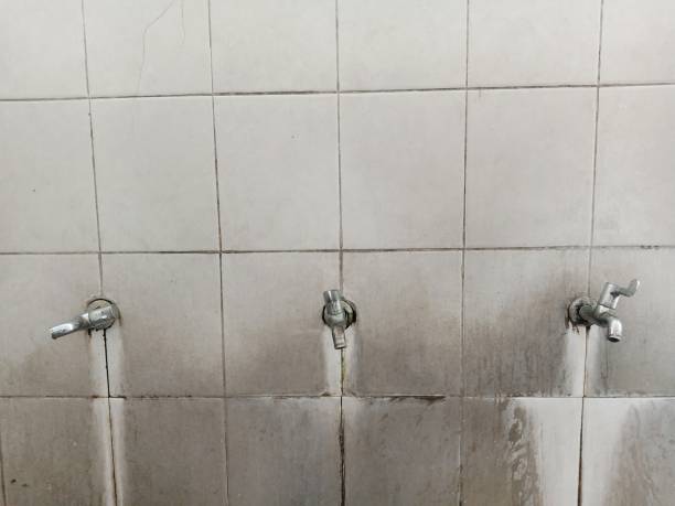 Best Carpet water damage restoration  in Humboldt Hill, CA