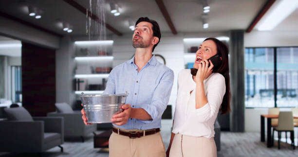 Best 24/7 water damage repair  in Humboldt Hill, CA